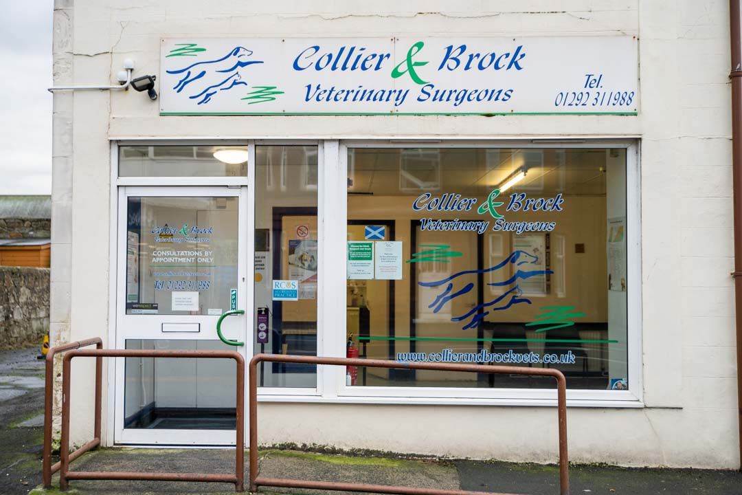 Collier and Brock Surgery