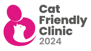 ICC_CFC_Logo_2024_RGB_Full_Colour