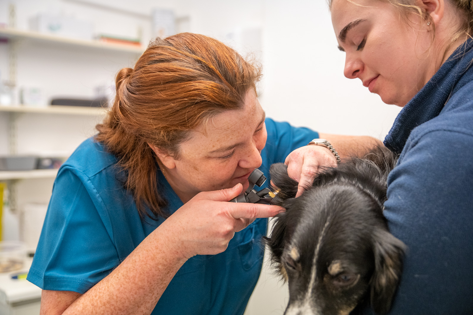 Collier and Brock (Web) 052