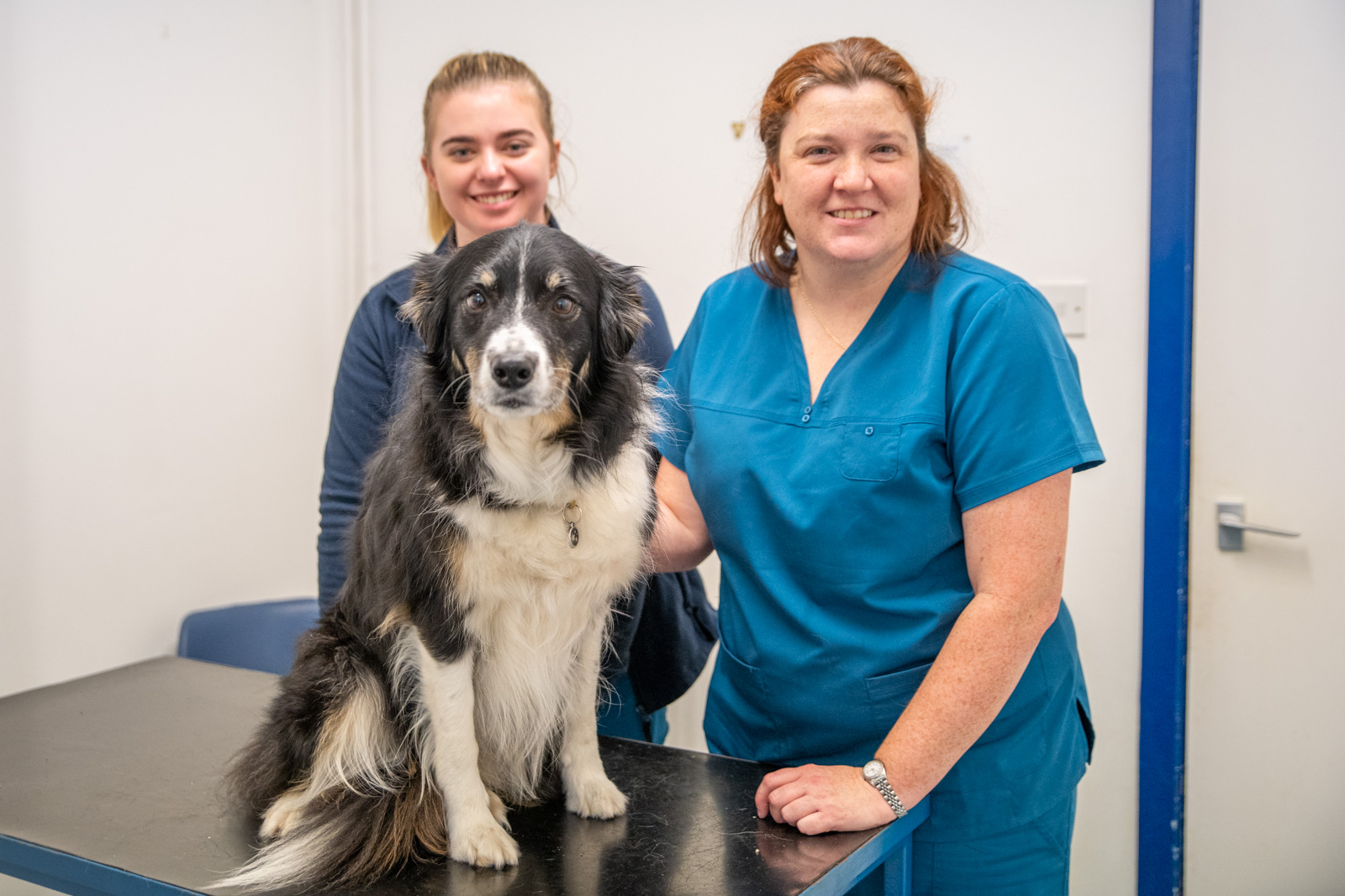 Collier and Brock (Web) 054