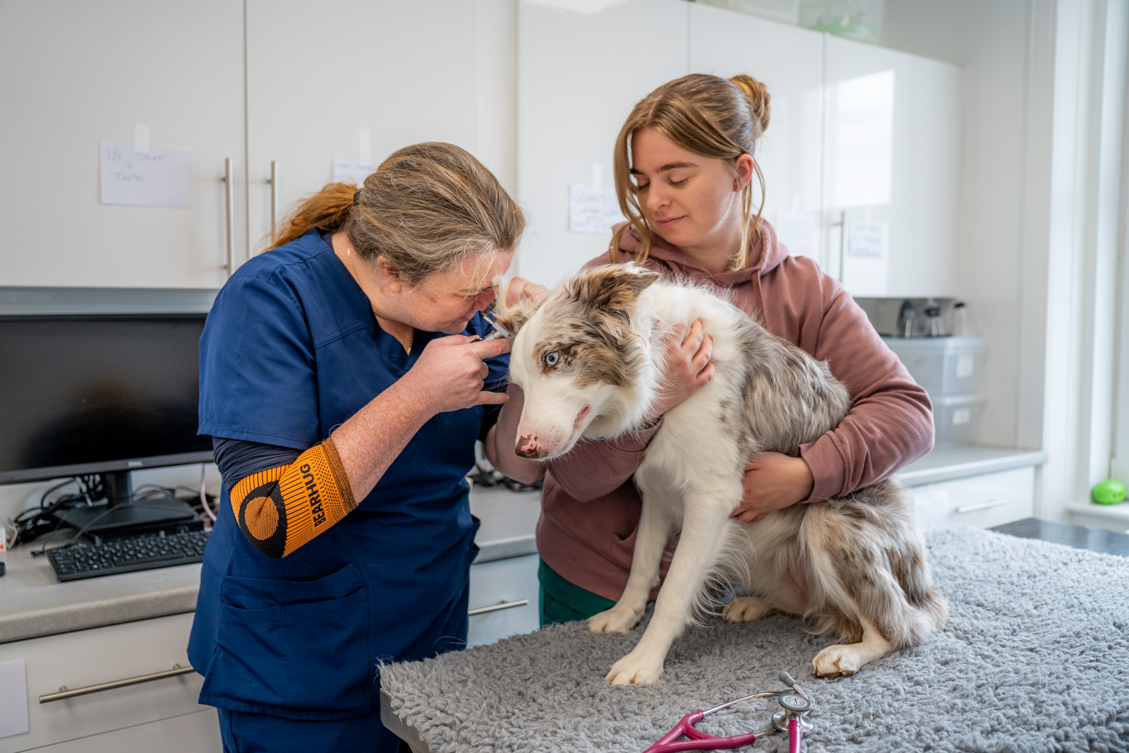 Collier and Brock Veterinary Surgeons (Web) 053