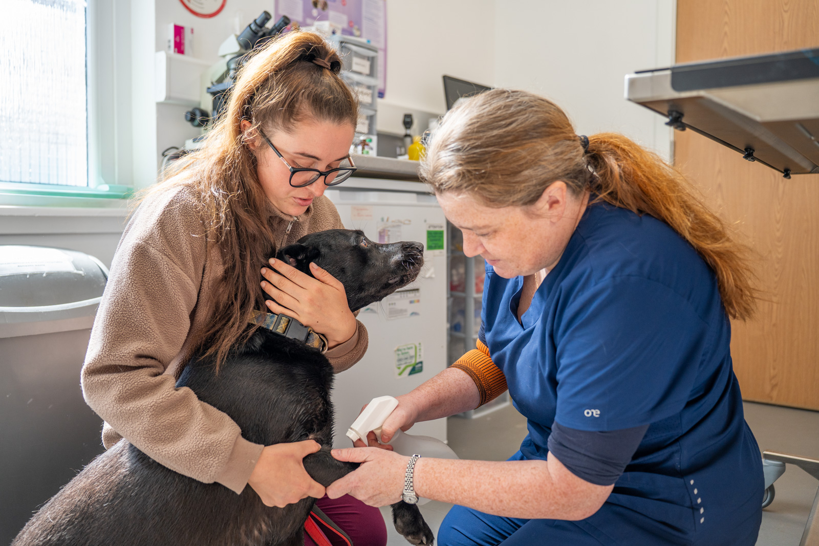Collier and Brock Veterinary Surgeons (Web) 102